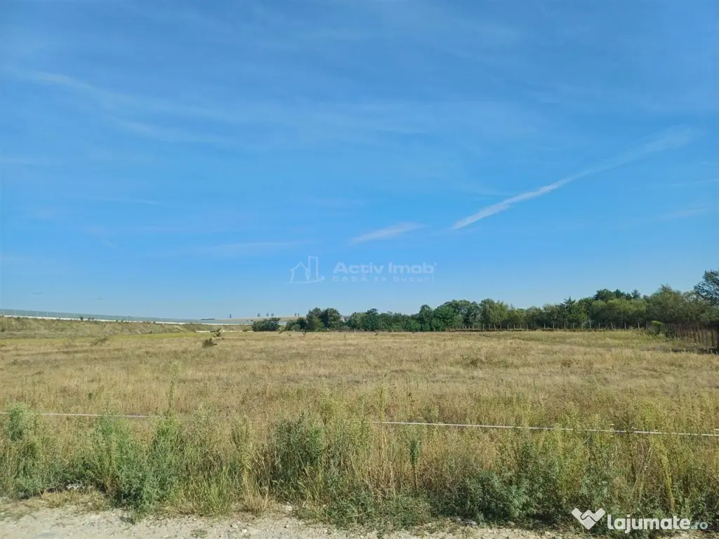 Teren intravilan de 9000 mp zona intre iazuri Talmaciu - Talmaciu (Sibiu)