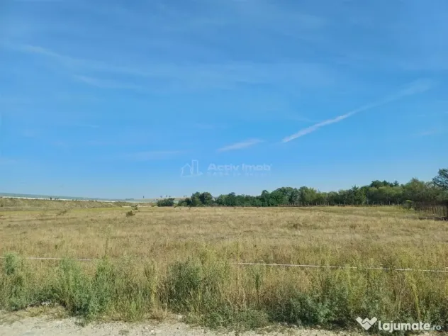 Teren intravilan de 9000 mp zona intre iazuri Talmaciu - Talmaciu (Sibiu)