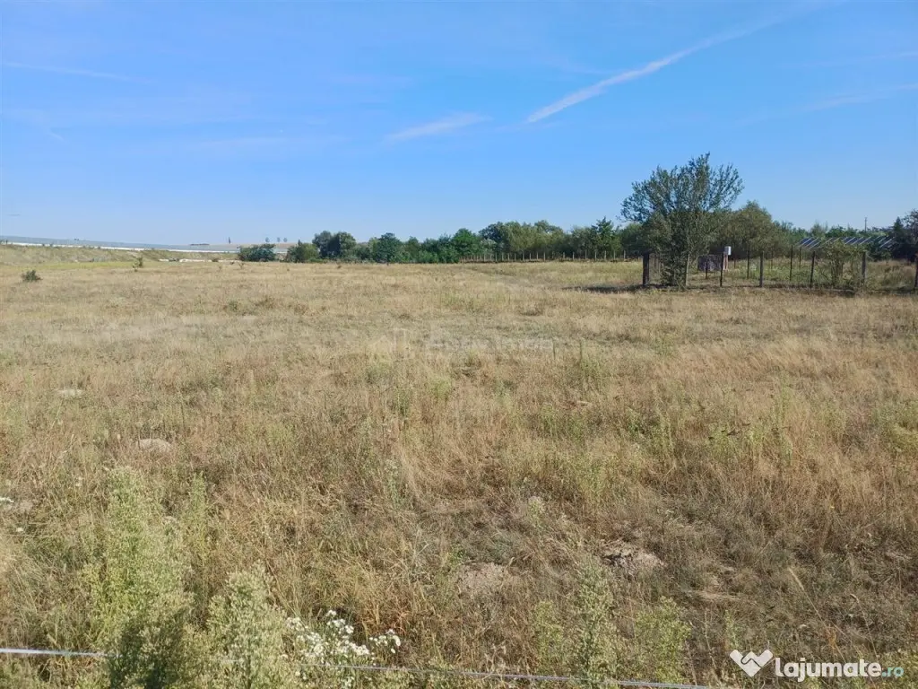 Teren intravilan de 9000 mp zona intre iazuri Talmaciu - Talmaciu (Sibiu)