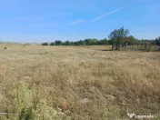 Teren intravilan de 9000 mp zona intre iazuri Talmaciu 