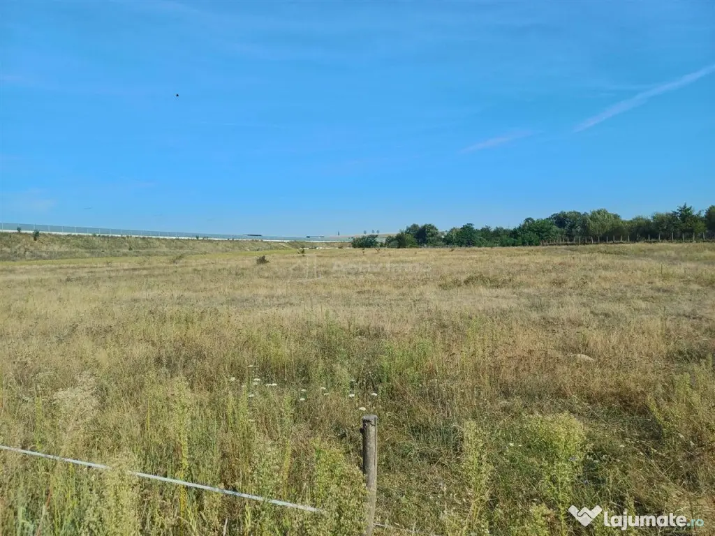 Teren intravilan de 9000 mp zona intre iazuri Talmaciu - Talmaciu (Sibiu)