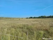 Teren intravilan de 9000 mp zona intre iazuri Talmaciu 