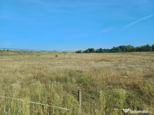 Teren intravilan de 9000 mp zona intre iazuri Talmaciu - Talmaciu (Sibiu)