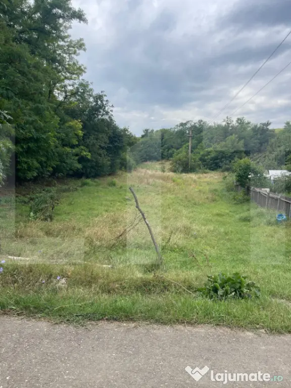 Teren intravilan 1.900 mp,zona Dorohoi,str Viilor - Dorohoi (Botosani)