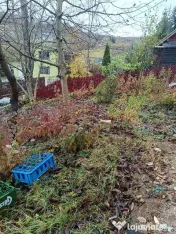 Casa zona V.Jelnei cu 14 arii teren, semifinisata