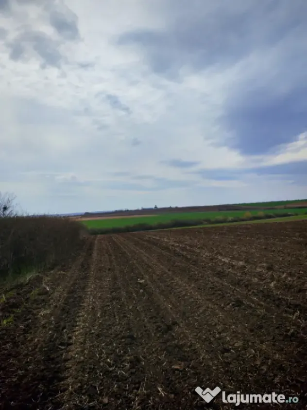 Teren 3700 mp, Intravilan Comana, sat Budeni, Jud. Giurgiu - Giurgiu (Giurgiu)