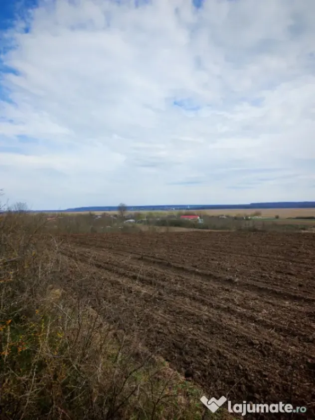 Teren 3700 mp, Intravilan Comana, sat Budeni, Jud. Giurgiu - Giurgiu (Giurgiu)