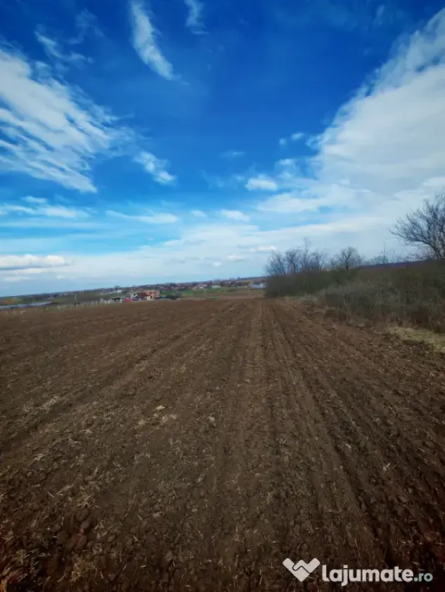 Teren 3700 mp, Intravilan Comana, sat Budeni, Jud. Giurgiu - Giurgiu (Giurgiu)