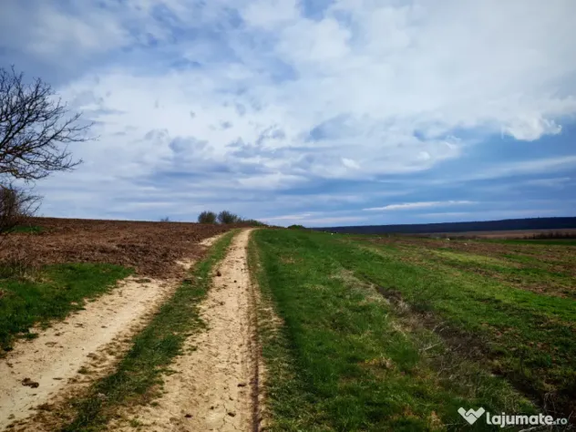 Teren 3700 mp, Intravilan Comana, sat Budeni, Jud. Giurgiu - Giurgiu (Giurgiu)