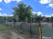 Teren 6500 mp cu livada si vedere panoramica-Oaza de liniste