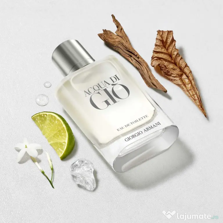 Giorgio Armani Acqua Di Gio 100ml EDT, pentru barbati, made in France