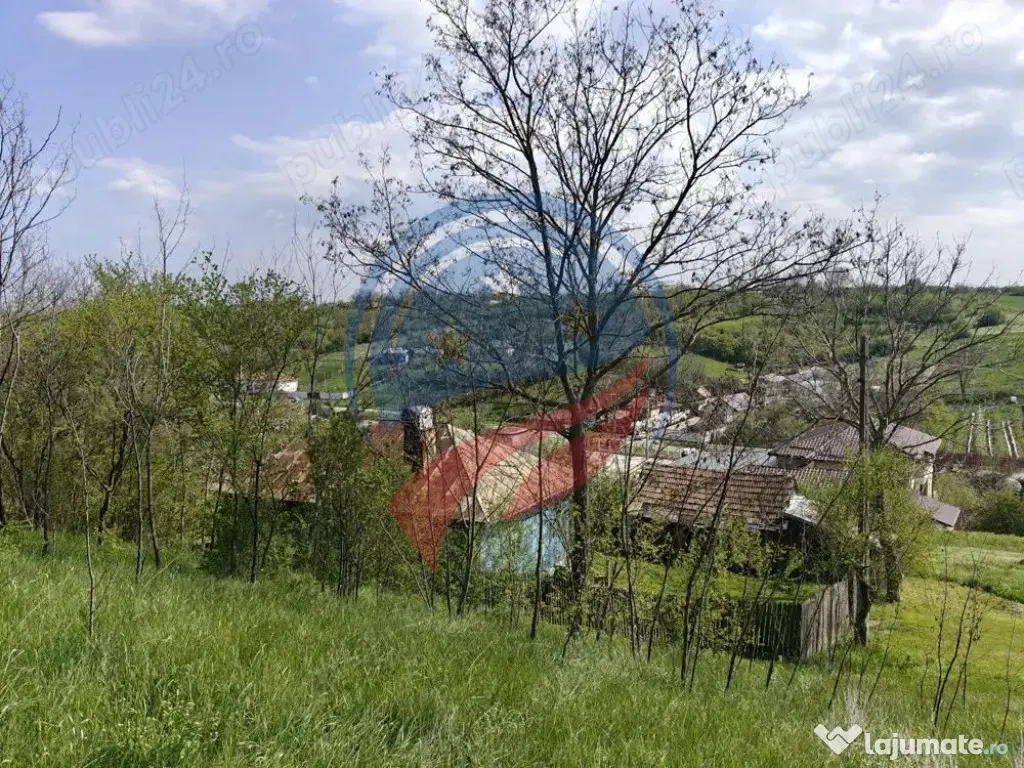 CASA LA 20 KM DE CRAIOVA CU 10000 MP. TEREN - Ghercesti (Dolj)