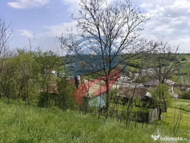 CASA LA 20 KM DE CRAIOVA CU 10000 MP. TEREN - Ghercesti (Dolj)
