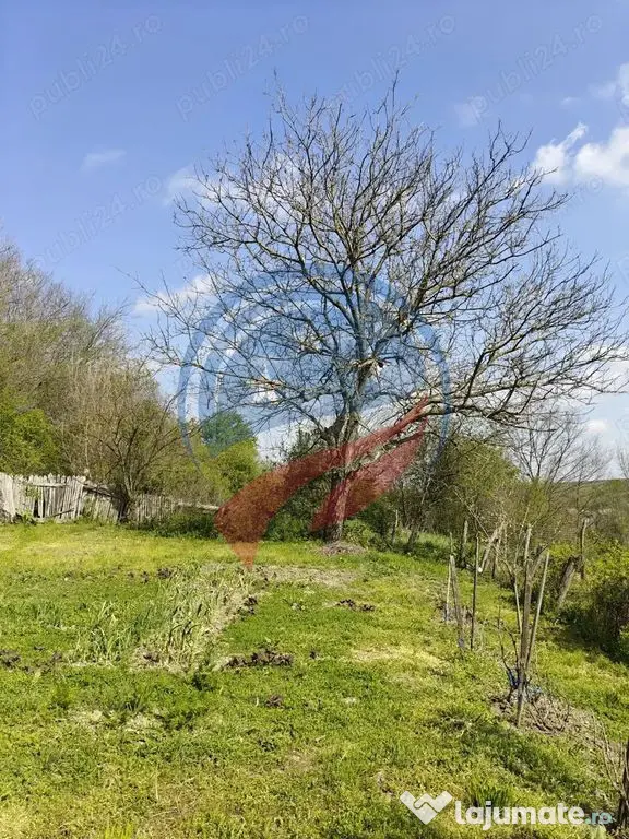 CASA LA 20 KM DE CRAIOVA CU 10000 MP. TEREN - Ghercesti (Dolj)