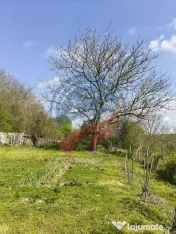 CASA LA 20 KM DE CRAIOVA CU 10000 MP. TEREN
