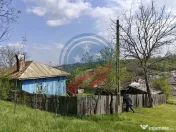 CASA LA 20 KM DE CRAIOVA CU 10000 MP. TEREN 