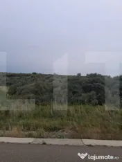 Teren extravilan, plantație de cătină 17.300 mp, comuna U 