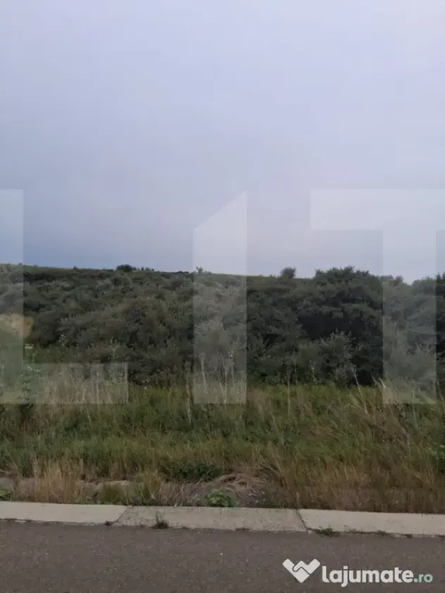 Teren extravilan, plantație de cătină 17.300 mp, comuna U - Soroceni (Botosani)
