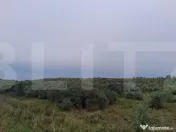 Teren extravilan, plantație de cătină 17.300 mp, comuna U 
