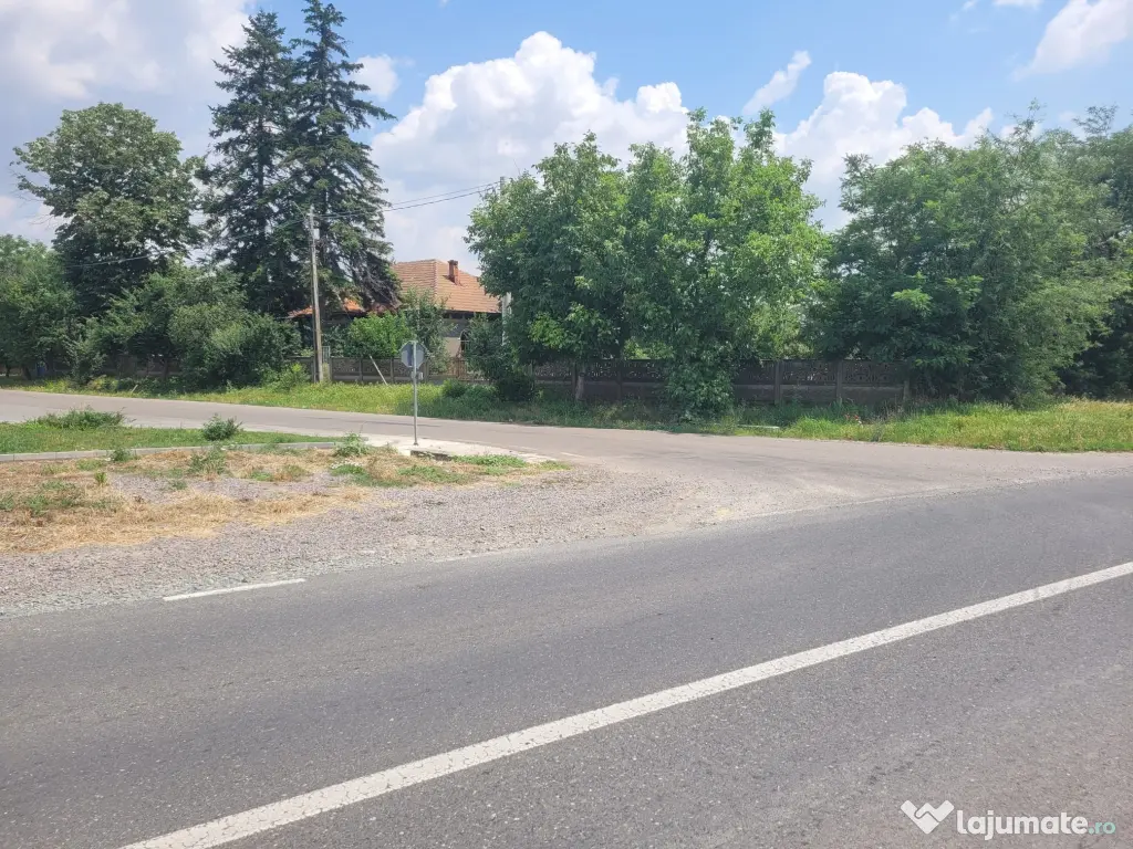 Vand casa batraneasca si teren 1900 mp intravilan cu iesire la DN4 Curcani Calarasi