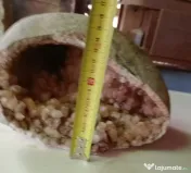 Geoda de cuart cu cristale roz-portocalii hematit 25 cm.