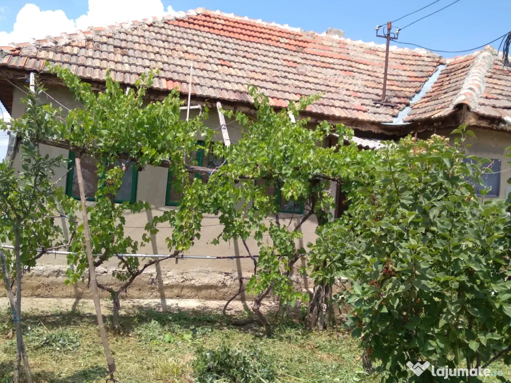 Casa de vanzare jud. Buzau