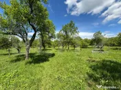 Teren intravilan 4.559 mp | Corbi – Corbșori | Deschidere