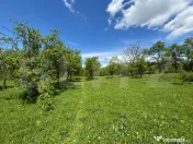 Teren intravilan 4.559 mp | Corbi – Corbșori | Deschidere