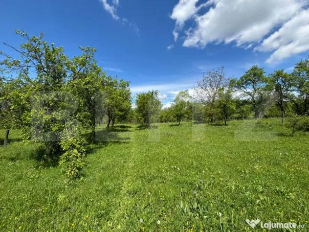 Teren intravilan 4.559 mp | Corbi – Corbșori | Deschidere - Corbi (Arges)