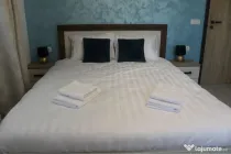 Apartament cu 2 camere Central (pet friendly)