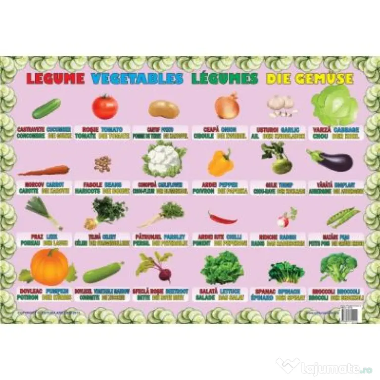 Legume - Plansa educativa