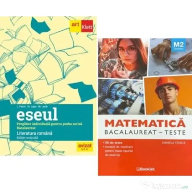 Pachet Bacalaureat 2026. Eseul. Pregatire individuala pentru proba scrisa si Matematica M2 Tehnologic. Teste - Liliana Paicu, Daniela Stoica