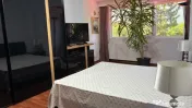 Vila de inchiriat Iancu Nicolae 5 camere mobilata 