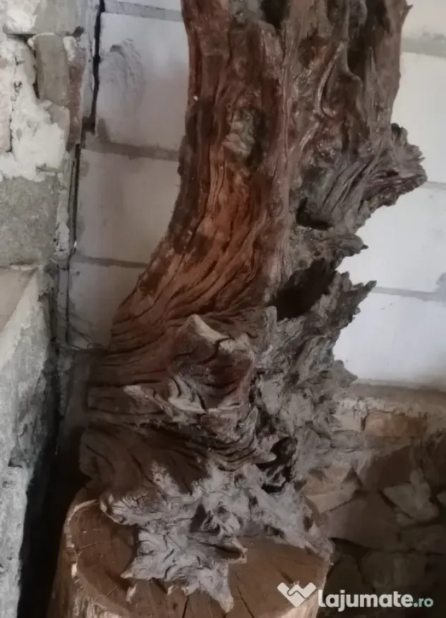 Radacina decorativa 160 cm. x 70 cm. lemn vechi patinat