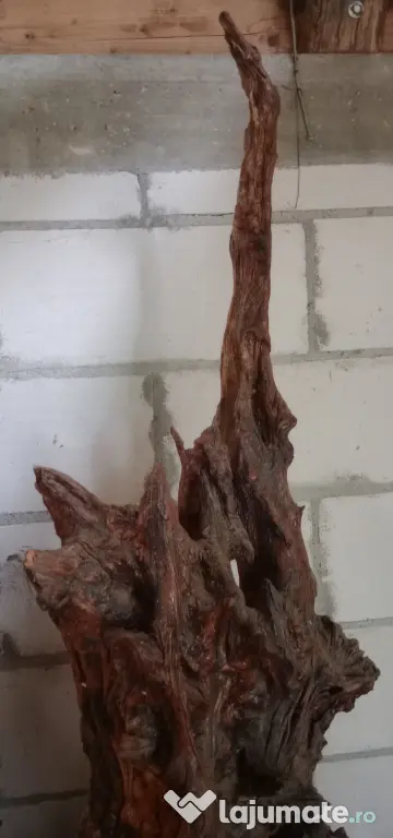Radacina decorativa 160 cm. x 70 cm. lemn vechi patinat