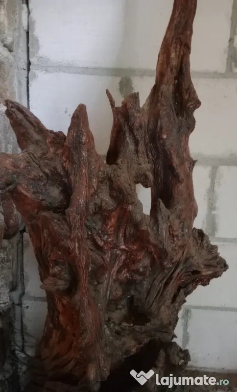 Radacina decorativa 160 cm. x 70 cm. lemn vechi patinat
