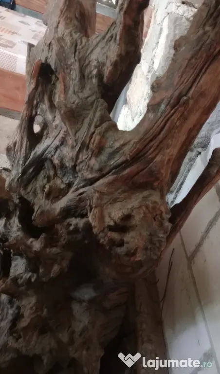 Radacina decorativa 160 cm. x 70 cm. lemn vechi patinat