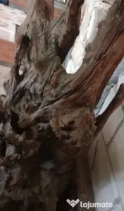 Radacina decorativa 160 cm. x 70 cm. lemn vechi patinat
