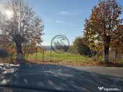 Teren intravilan de vanzare | 12.650 mp | Ghirdoveni | Co... 