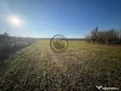 Teren intravilan de vanzare | 12.650 mp | Ghirdoveni | Co... 