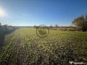 Teren intravilan de vanzare | 12.650 mp | Ghirdoveni | Co... 