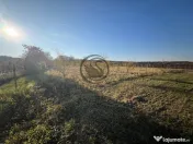 Teren intravilan de vanzare | 12.650 mp | Ghirdoveni | Co... 