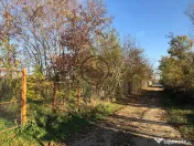 Teren intravilan de vanzare | 12.650 mp | Ghirdoveni | Co... 