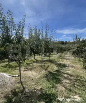 Casă nouă, 110 mp, 6.000 mp de teren, zona Spiridoni