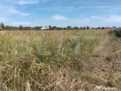 ???? Teren intravilan de 5.400 mp | Matraca, județul Dâmbo 