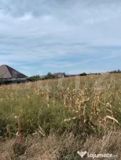 ???? Teren intravilan de 5.400 mp | Matraca, județul Dâmbo 