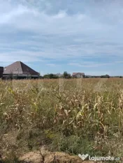 ???? Teren intravilan de 5.400 mp | Matraca, județul Dâmbo 
