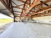 DOMENIU de 5,9 ha I Lac, Casă și Aerodrom – multiple ...