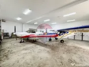 DOMENIU de 5,9 ha I Lac, Casă și Aerodrom – multiple ...