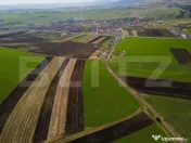 ???? Teren de 8.000 mp de vânzare – Copăceni , jud. Cluj